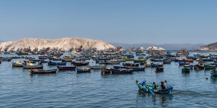 Pesca, la gran omisión