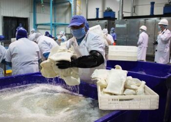 PNIPA presenta avances tecnológicos en pesca y acuicultura a través de evento Bootcamp AquaInnova