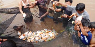 Bootcamps AquaInnova: la necesidad de acercar las tecnologías 4.0 para una acuicultura amigable frente al cambio climático