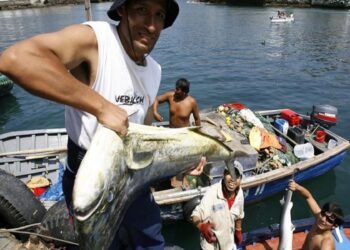 Pesca y acuicultura generan 2.6 millones de empleos en América Latina y El Caribe