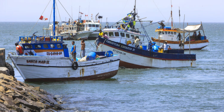 Gobierno aprueba transferencia para reactivar economía de pescadores artesanales