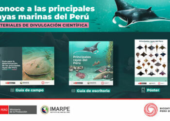 Imarpe: Publicaciones contribuirán a una mejor conservación y uso sostenible de las rayas marinas en el Perú