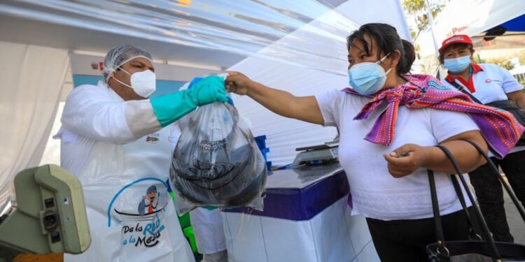 Ministro de la Producción aseguró que su cartera venderá unas 2 mil toneladas de pescado