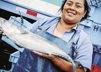Perú registró récord en consumo de pescado: conoce las regiones donde se come más este alimento
