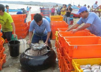 FAO lanza programa para fortalecer la pesca y la acuicultura artesanales