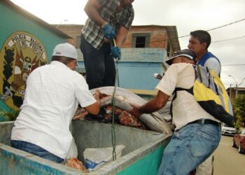 El tráfico ilegal de especies acuáticas como delito de crimen organizado