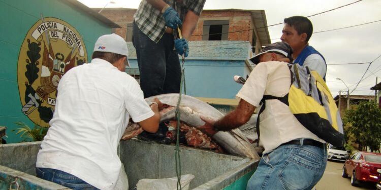 El tráfico ilegal de especies acuáticas como delito de crimen organizado