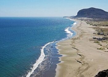 Ecuador, Colombia, Costa Rica y Panamá crean reserva marina en el Pacífico Tropical