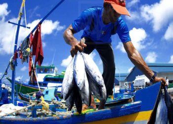 Perú tiene todo para convertirse en potencia exportadora acuícola