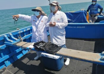 Piura: campaña «Monitorea tu bahía» benefició a 30 Amypes de Sechura