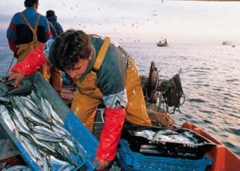 Mar de Lambayeque se ve seriamente amenazado por la pesca artesanal informal