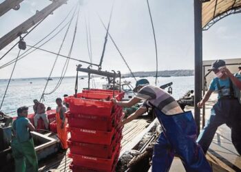 Produce: pesca en pequeña escala provee alrededor del 90% del empleo del sector