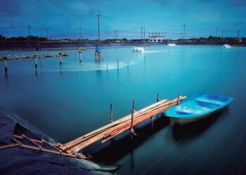 ¿Es posible mejorar la producción acuícola de manera sostenible?