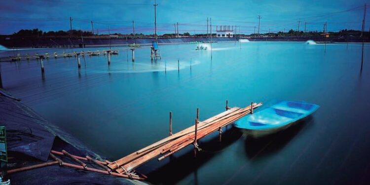 ¿Es posible mejorar la producción acuícola de manera sostenible?