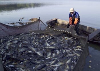 Administrando el mar de Grau, con lógica y con ciencia