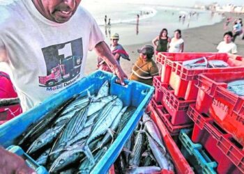 Conoce en qué consiste el corredor libre de pesca más grande en aguas de América Latina acordado en la COP26