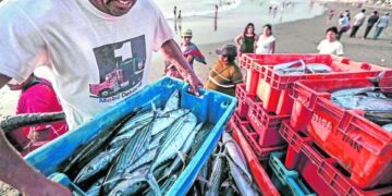 Conoce en qué consiste el corredor libre de pesca más grande en aguas de América Latina acordado en la COP26