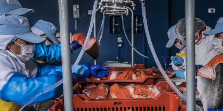 Produce autoriza subvenciones por S/ 2.7 millones para proyectos de pesca y acuicultura