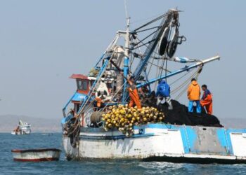 La conservación del mar y la explotación pesquera: el difícil equilibro que se busca conseguir