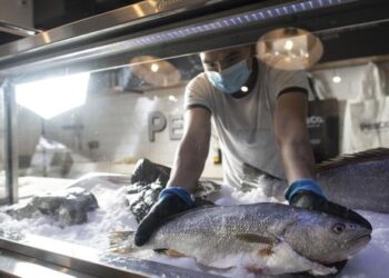 Pesco: cadena de pescaderías contará con 10 locales en los próximos años