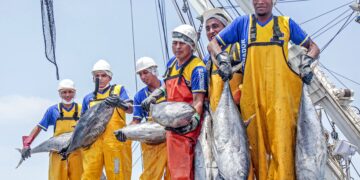 Ejecutivo alista facilidades tributarias para sectores de pesca de atún y acuicultura