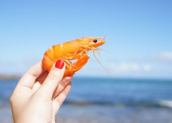 Piura fue la región con mayores exportaciones marinas entre enero y agosto