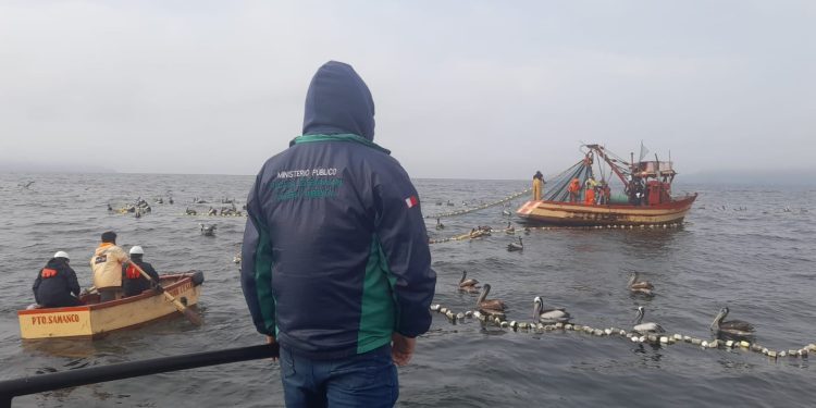 Áncash: FEMA realiza operativo contra la pesca ilegal en la bahía El Ferrol
