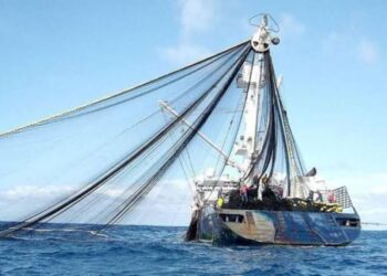 Piura: verifican que atuneras realizan sus labores de pesca dentro del ordenamiento legal