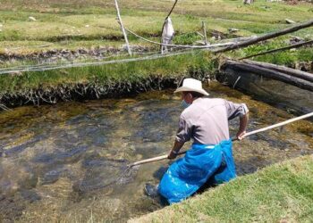 Mitad de la inversión en innovación acuícola se centra en la trucha