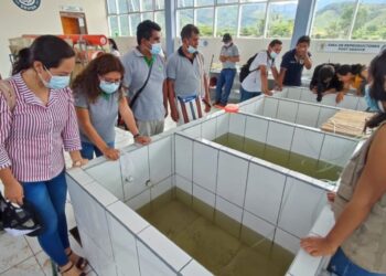 Junín: Satipo ya cuenta con su primer centro de reproducción de alevinos de peces amazónicos