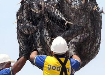 Produce restablece los beneficios de la ley de especies altamente migratorias