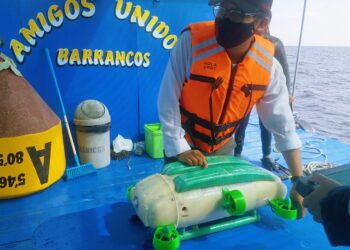 Piura: Crearán robot submarino para mejorar la producción y cosecha del cultivo de concha de abanico en Sechura