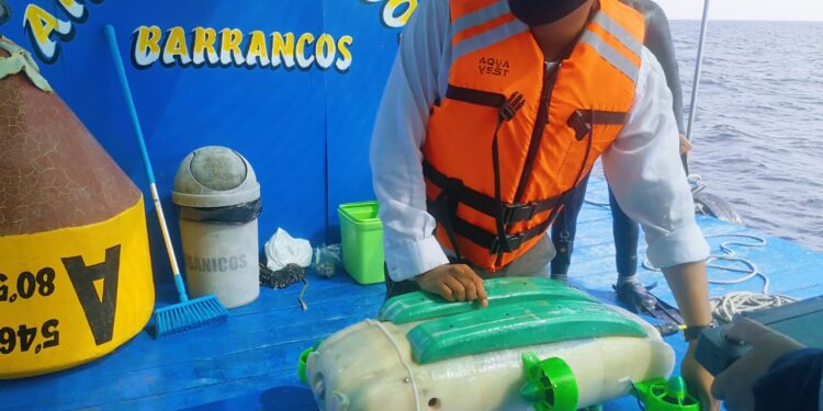 Piura: Crearán robot submarino para mejorar la producción y cosecha del cultivo de concha de abanico en Sechura