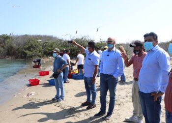 Maricultores afirman que salida del Río Piura por Sechura perjudicaría sus cultivos acuícolas