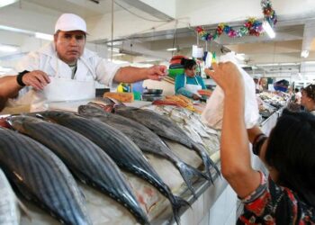 Pesca para consumo: ¿En qué lugares se captura el recurso que hoy ingresa a los mercados de Lima?