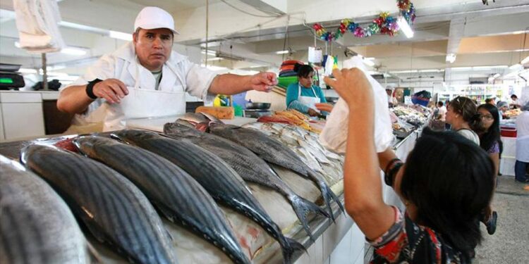 Pesca para consumo: ¿En qué lugares se captura el recurso que hoy ingresa a los mercados de Lima?