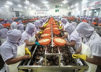 Pesqueras peruanas retoman envíos a China: conoce las causas del bloqueo y las tareas pendientes