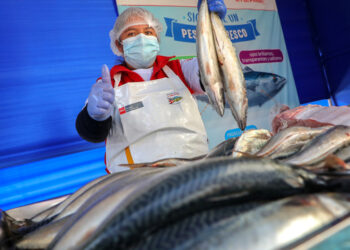 Produce: precios mayoristas de pescados se mantienen estables tras derrame de petróleo en Ventanilla