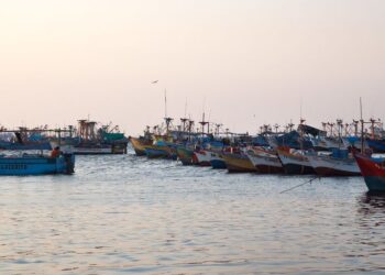 El elefante en el mar