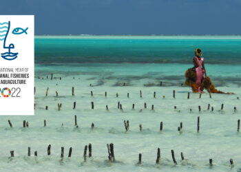 Porque cada día es un comienzo nuevo