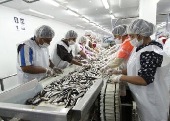 Piura: Compañías pesqueras reciben certificación ambiental