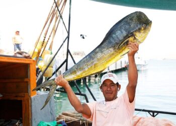 Produce afirma que especies marinas que se venden en Lima y Callao no están contaminadas por derrame
