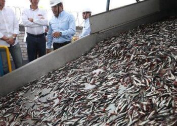 Fargoline de Ferreycorp prevé mayor demanda por el sector pesquero