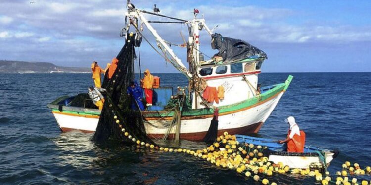 Fondepes entregó créditos por más de S/ 12 millones a pescadores artesanales en el 2021