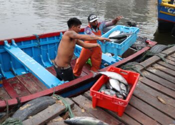 Personal de Sanipes verifica inocuidad del pescado en Pucusana, Callao y Ancón