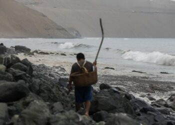 El derrame de petróleo y la pesca artesanal: se pone en riesgo la seguridad alimentaria