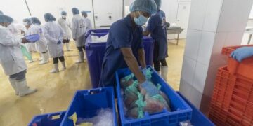 Ten en cuenta estos consejos para reconocer un producto pesquero congelado en buenas condiciones