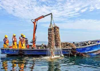 CITEpesquero Piura organiza campaña “vigilancia ambiental” que beneficia a maricultores de la bahía de Sechura
