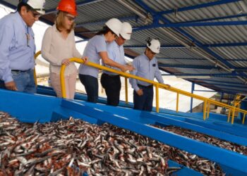 Sociedad Nacional de Anchoveta exige que el Ministerio de Producción atienda sus demandas