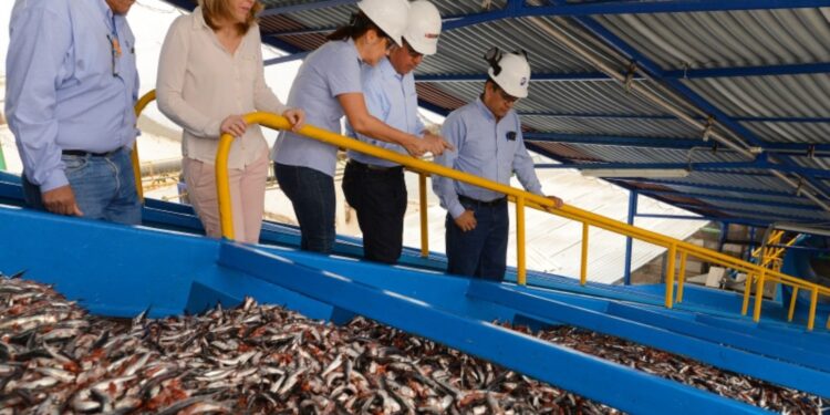 Sociedad Nacional de Anchoveta exige que el Ministerio de Producción atienda sus demandas